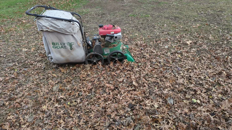 Leaf Vacuum