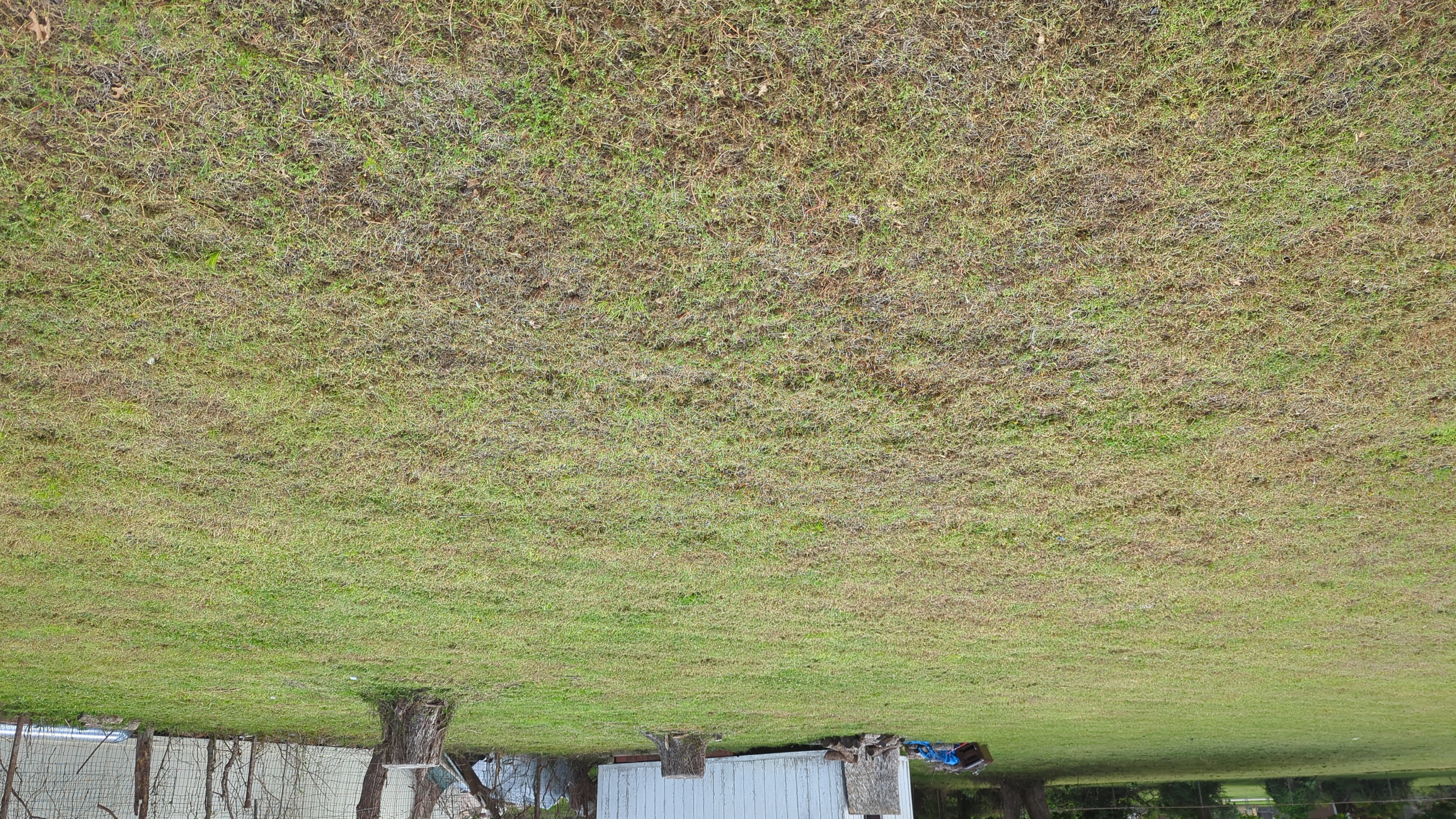 The Benefit of Lawn Care for Property Aesthetic and Functionality