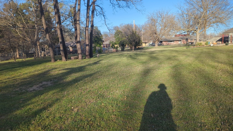 Freshly mown yard