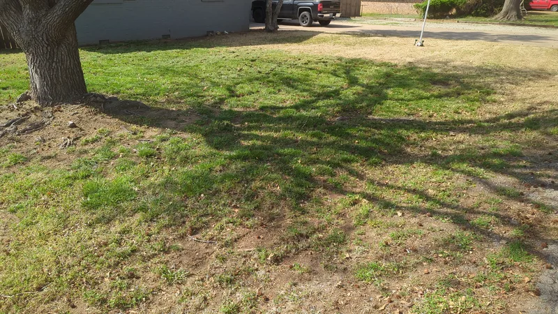 No more leaves to see here!