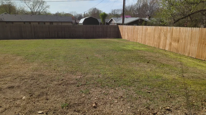 All the leaves cleaned up in time for spring!