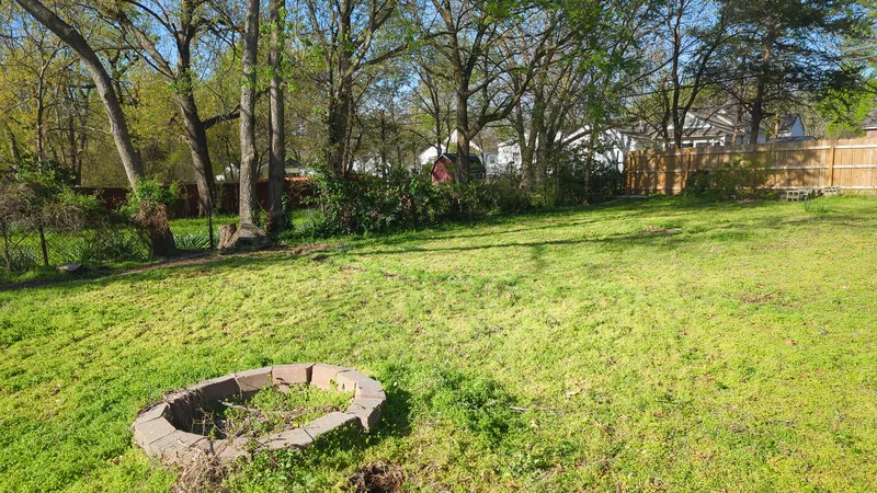 Overgrown backyard and firepit