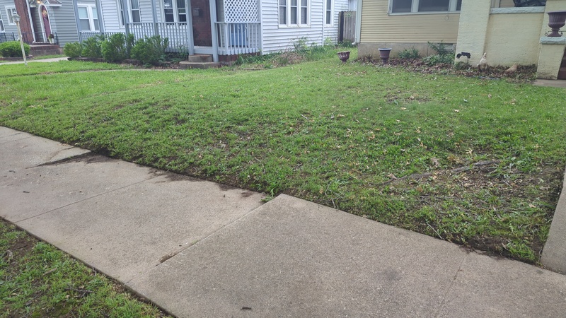 Front yard making the house attractive