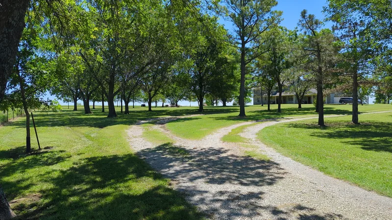 Beautiful driveway set amongst the trees