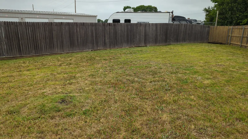 Freshly trimmed backyard