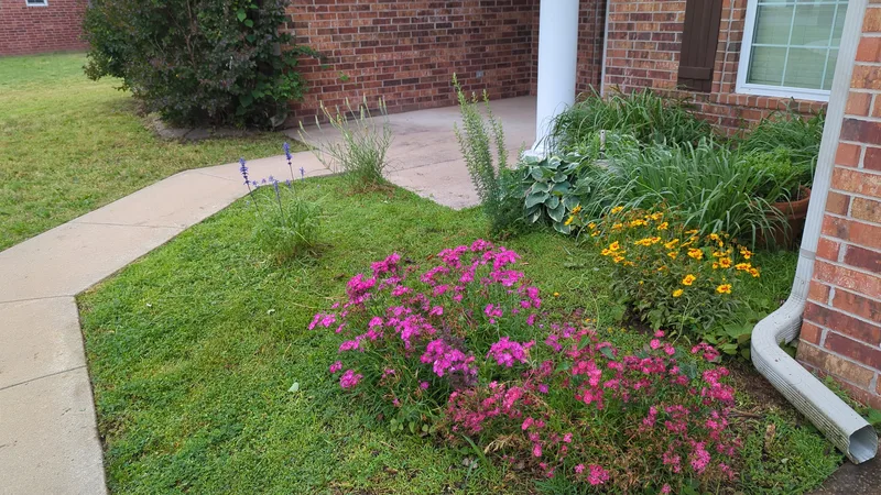 Flowering front gardens
