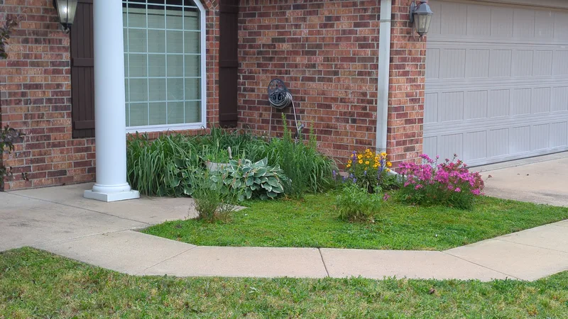 Flowers in front garden