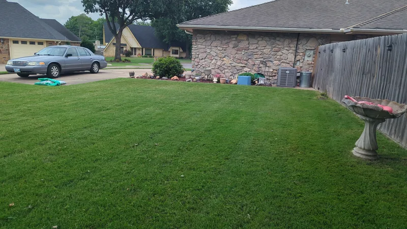 Beautiful cool season grass