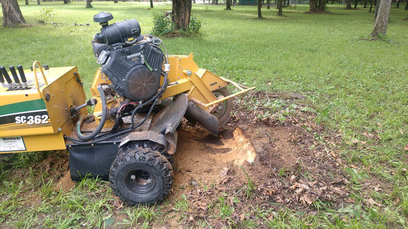 Tree Stump Removal