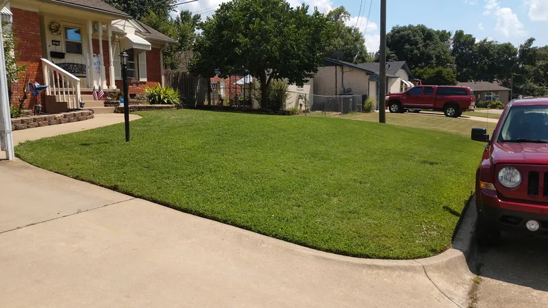 Beautiful front yard