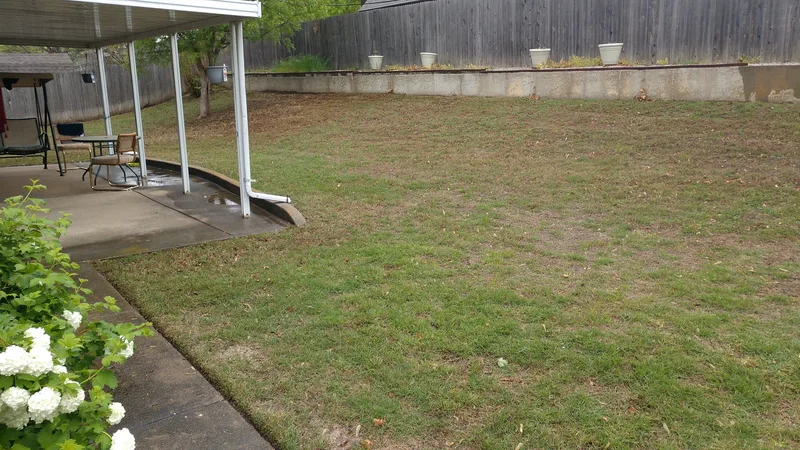 Keeping the backyard mowed clean