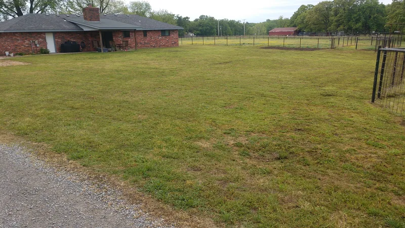 Large backyard